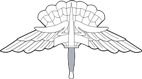 Military Free Fall Parachutist Badge