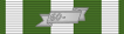 Vietnam Campaign Medal