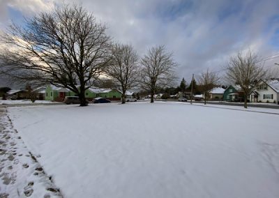 Delta Park in the Snow - December 26, 2021